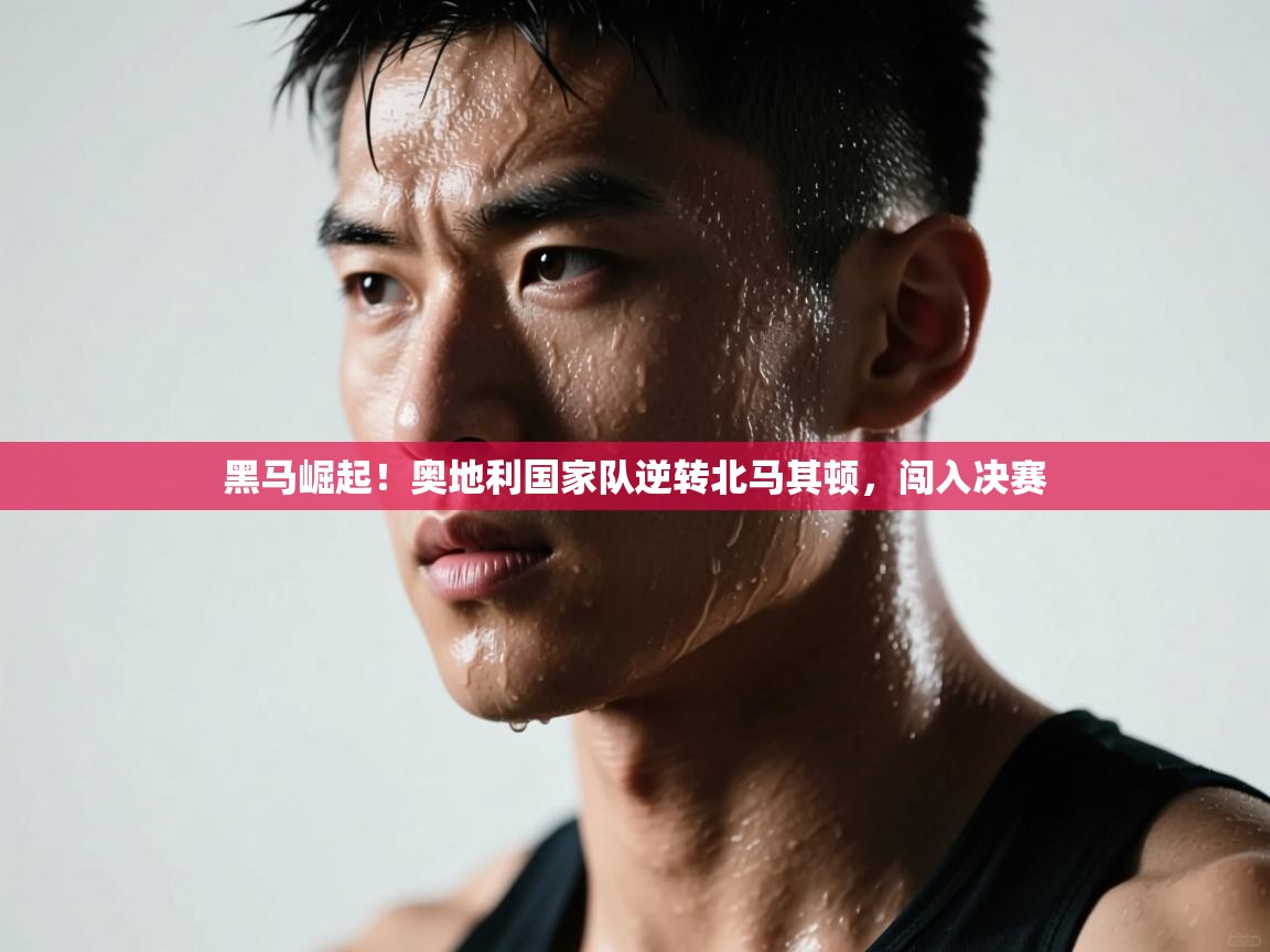 黑马崛起！奥地利国家队逆转北马其顿，闯入决赛  第1张