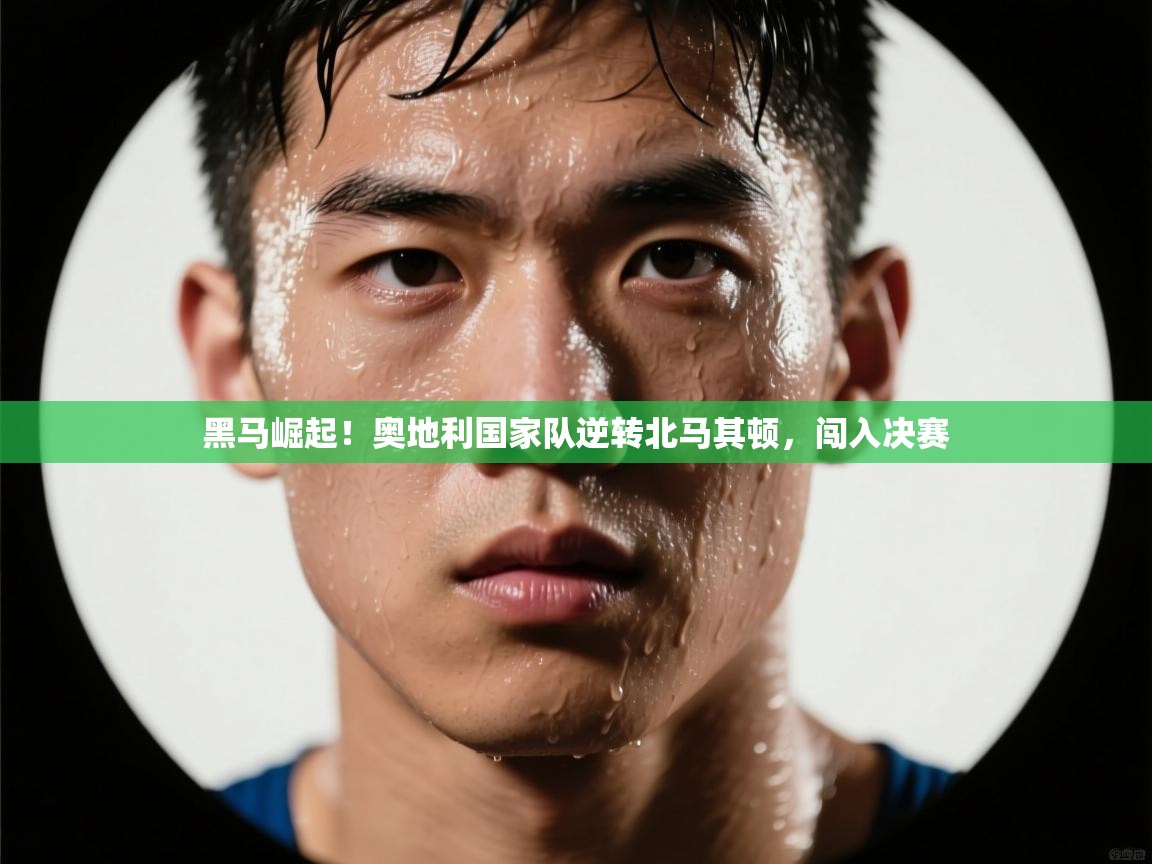 黑马崛起！奥地利国家队逆转北马其顿，闯入决赛  第2张