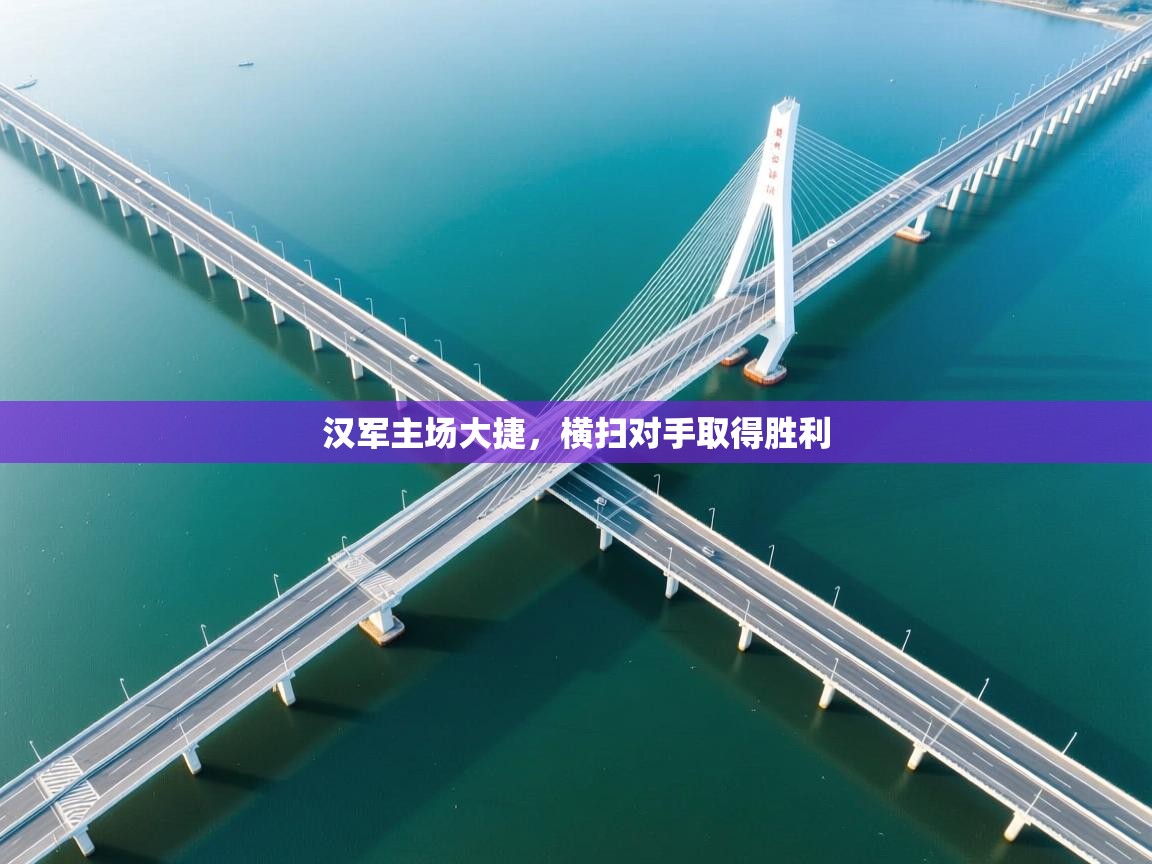 汉军主场大捷,横扫对手取得胜利 第1张