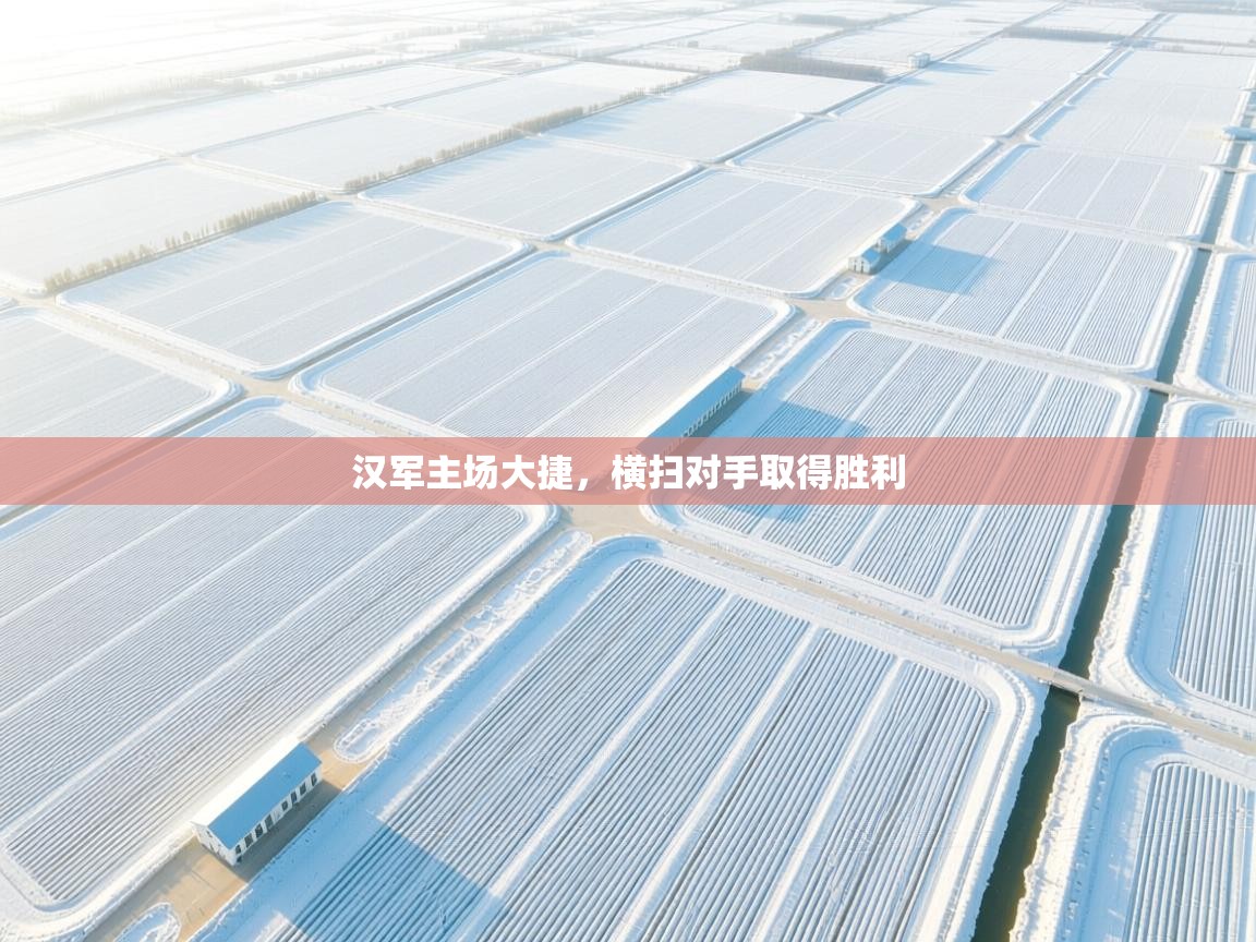 汉军主场大捷,横扫对手取得胜利 第2张