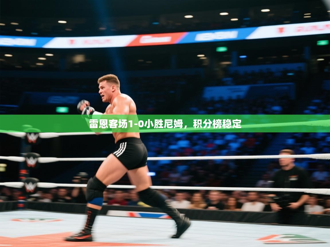 雷恩客场1-0小胜尼姆,积分榜稳定 第2张