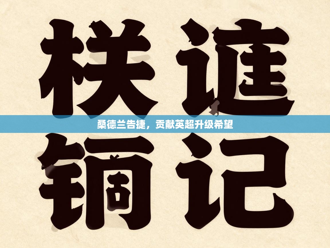 桑德兰告捷，贡献英超升级希望  第1张