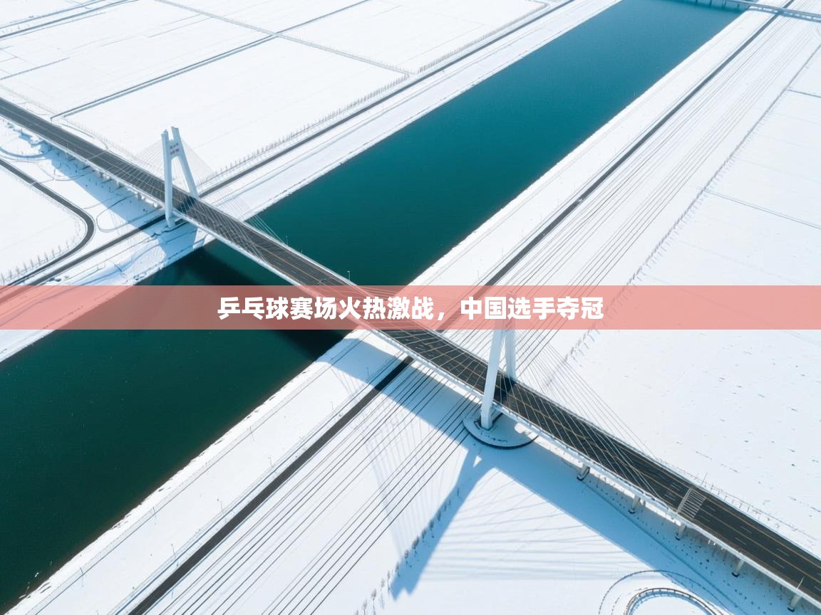 乒乓球赛场火热激战，中国选手夺冠  第2张