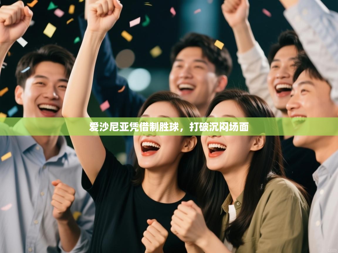 爱沙尼亚凭借制胜球，打破沉闷场面  第1张